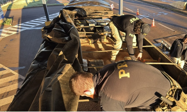 Prejuízo ao Crime: PRF apreende mais de duas toneladas de drogas escondidas em carga de soja na BR-163