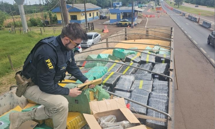PRF apreende caminhão com 4 toneladas de maconha escondidas sob carga de milho em Lindoeste