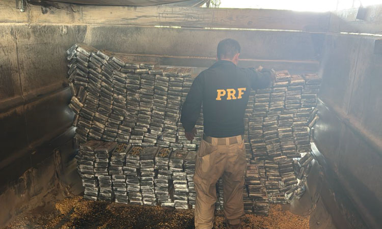 PRF apreende mais de 600 kg de cocaína no Paraná e realiza a maior apreensão da droga no país em 2025
