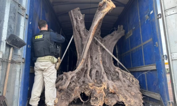 BC informa que teto para rotativo vale a partir desta quarta-feira