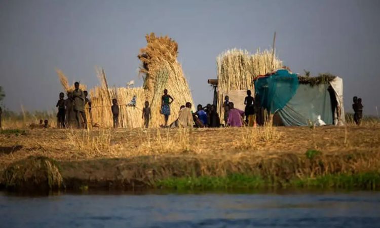 Relatório da ONU aponta que 645 milhões de pessoas passam fome no mundo