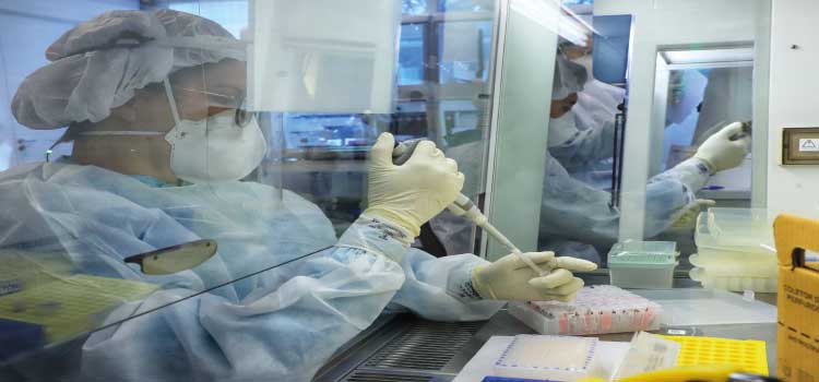 SAÚDE ALERTA: Predominância da Ômicron passa de 85% no Paraná, aponta Fiocruz