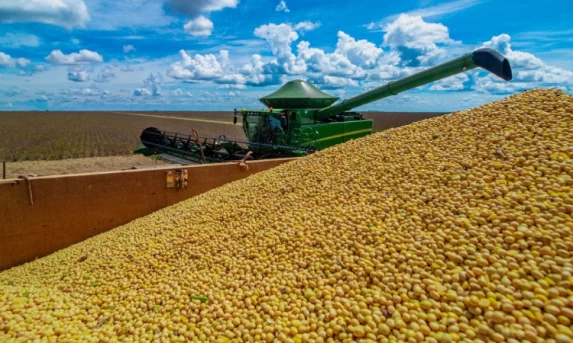 Soja: preços retomam alta; média do Paraná é a maior do ano