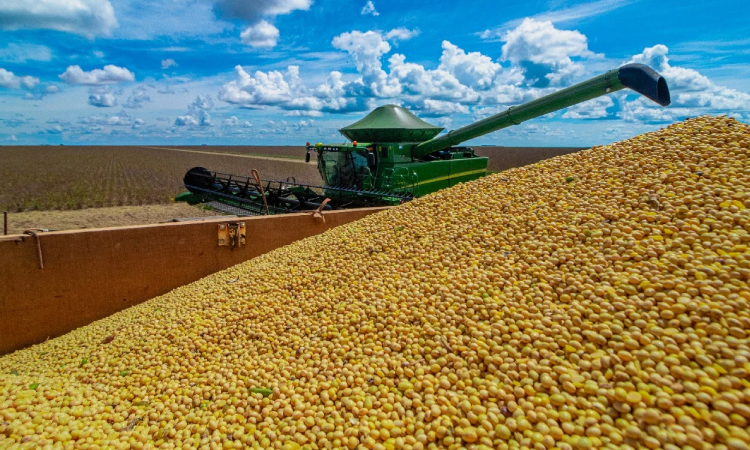 Soja: preços retomam alta; média do Paraná é a maior do ano