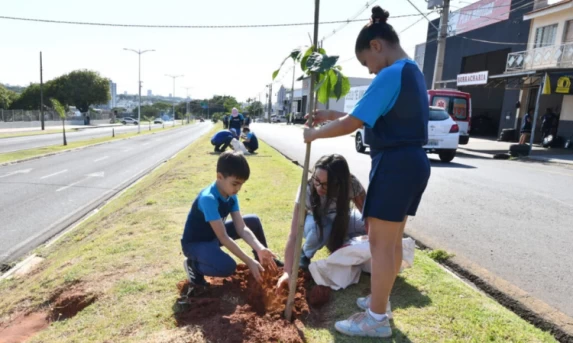 Sustentabilidade: Umuarama lançará projeto para plantar uma árvore a cada novo nascimento na cidade