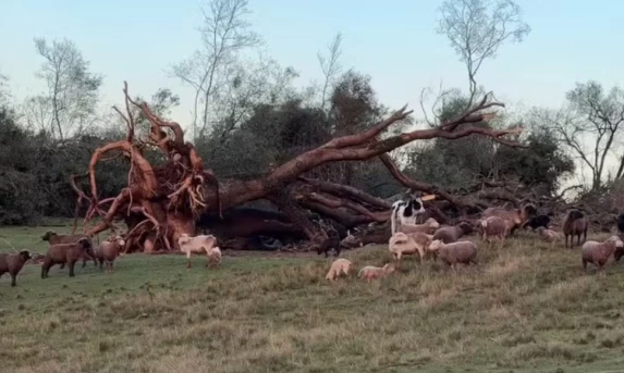 Tornado provocado por supercélula atinge três cidades do RS, deixa feridos e causa destruição