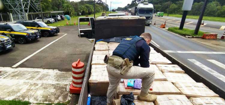 TRÁFICO DE DROGAS: Aproximadamente 2 mil e 300 quilos de maconha foram apreendidos em Guarapuava /PR.