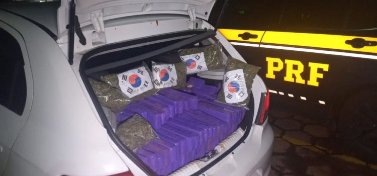 TRÁFICO: PRF apreende mais de 300kg de maconha em Santa Tereza D'oeste.