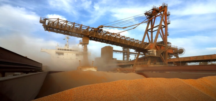 ﻿  AGRO: Demanda chinesa por milho preocupa produtores de frango no Brasil.